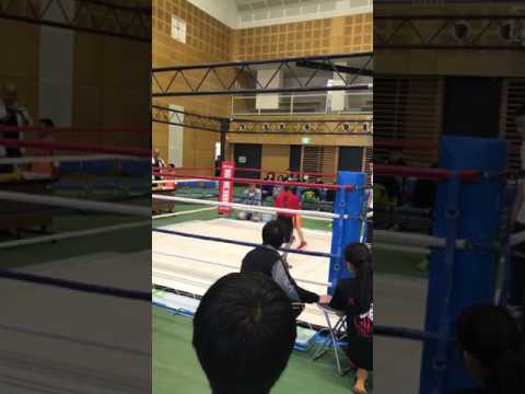 キッズボクシング 7歳 スパーリング