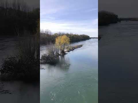 Puente sobre el Rio Negro Chichinales a Valle Azul #rutasypaisajes