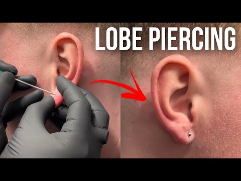 Lobe piercing | Quick ear piercing for this guy