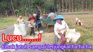 Download lagu Emak berjatuhan hadang Damen #viralvideo #viralshorts #fypyoutube #blowerpadi mp3