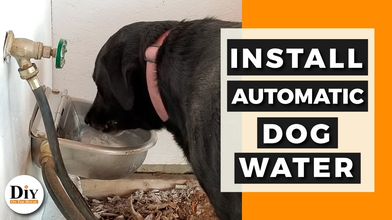 Watch video Automatic Dog Water Bowl & Automatic Cat Waterer - Self Filling Water Bowl! Now Automatic Dog Water Bowl & Automatic Cat Waterer - Self Filling Water Bowl!