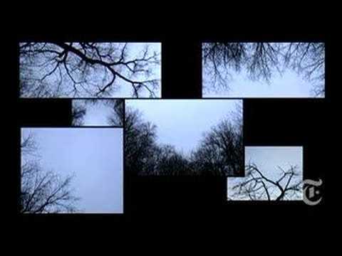 Thumbnail of the video: Critics' Picks - NYTimes.com - The Tracey Fragments