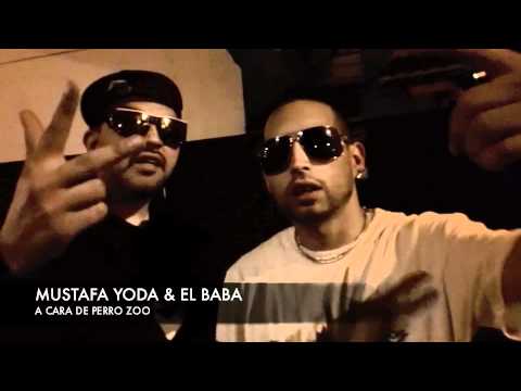 A Cara de Perro Zoo - Proximamente Mar del Plata