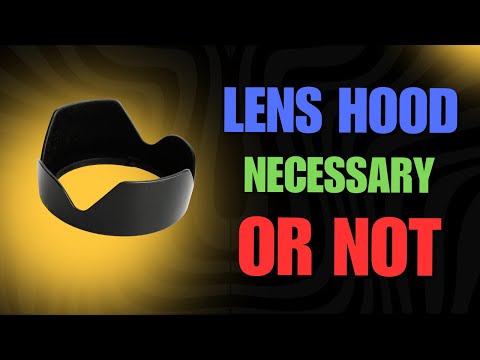 Do You Really Need a Lens Hood ? Canon RF 50mm Test & Comparison