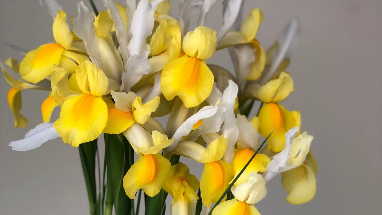 How to Make a Quick Gift Bouquet Using the Spiral Technique