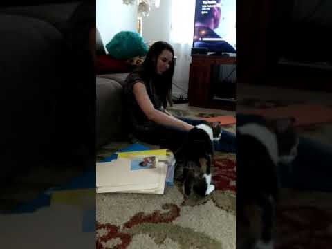 Mushi is getting old