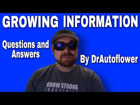 Autoflower Questions Answered by DrAutoflower - Growing Info