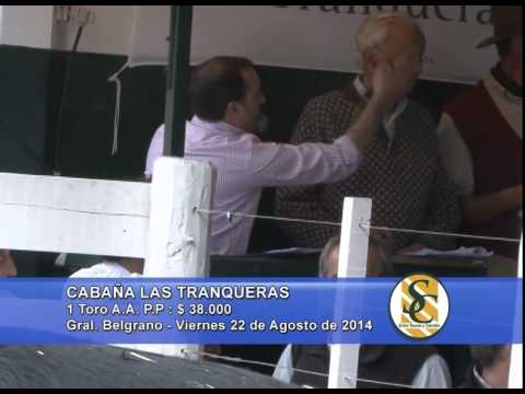 Cabaña Las Tranqueras - TOROS A.A. P.P. - Lalor S.A. - General Belgrano - 22/08/2014