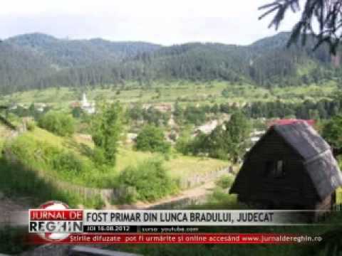 FOST PRIMAR DIN LUNCA BRADULUI, JUDECAT
