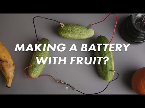 Fruit Battery, Science Lesson