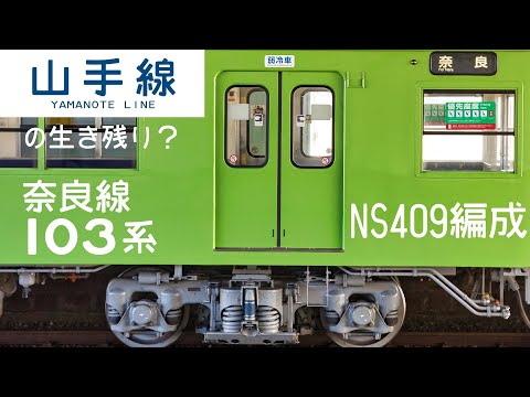 山手線の生き残り？奈良線103系NS409編成【4K 60fps】