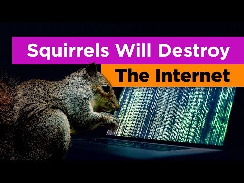 為什麼松鼠是互聯網最大的威脅(Feat. Tierzoo) (Why Squirrels Are the Greatest Threat to the Internet (Feat. Tierzoo))