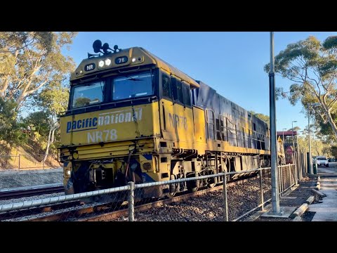 Pacific National Freight - 6MP5 - NR78, NR92, NR98