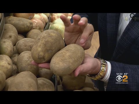 download lagu mp3 mp4 What Are Russet Potatoes, download lagu What Are Russet Potatoes gratis, unduh video klip What Are Russet Potatoes