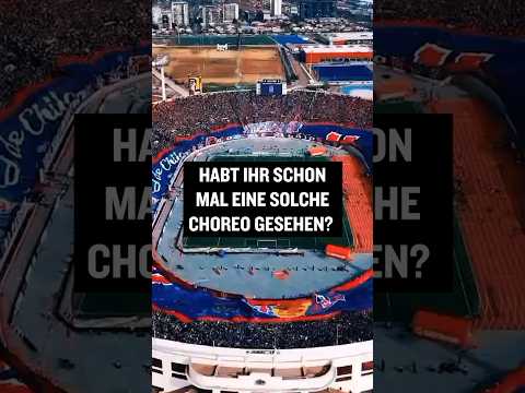 Spektakuläre Choreo - Vidal mittendrin #shorts