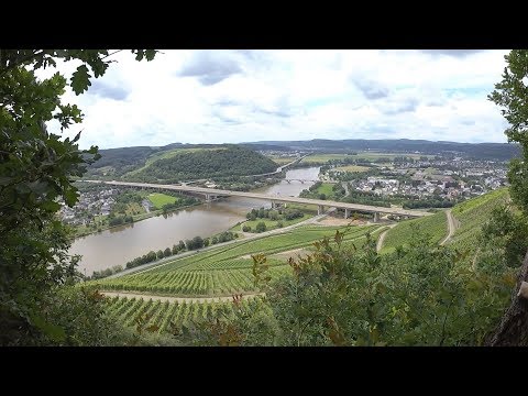 Moselsteig / Etappe 06: Schweich – Mehring / Wandern und Geocaching