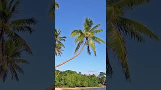 National Anthem of Vanuatu - We, We, We