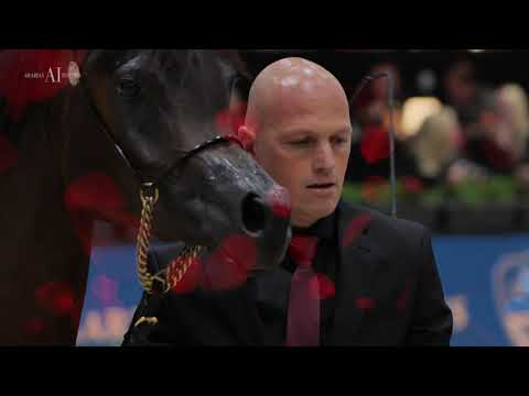 🌹 ERALDA 🌹 - 🥇Junior Fillies Class Winner (1B), Paris World Championship