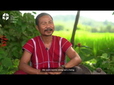 Rice cultivation using the System of Rice Intensification method in Kayin State, Myanmar
