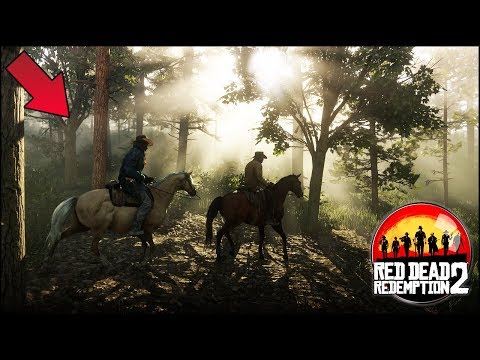 NEUE GEBIETE - RED DEAD REDEMPTION 2 Open World look