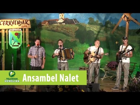Ansambel nalet - Prijatelja samo