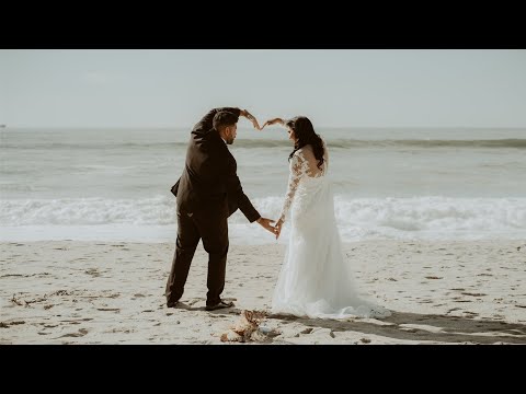 Kiwi Eyes video.