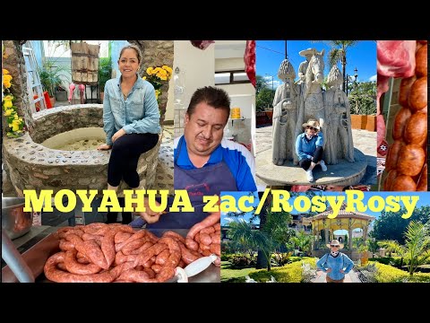 MOYAHUA zacatecas 2024/RosyRosy