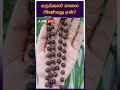 கருங்காலி மாலை அணிவது ஏன் Karungali Malai Benefits Ebony