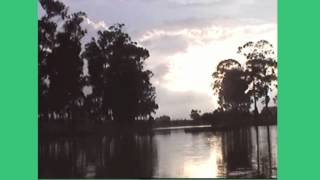 Mac Demarco - Potato boy