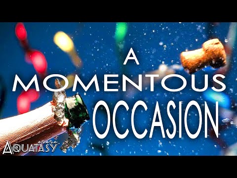 Aquatasy - A Momentous Occasion