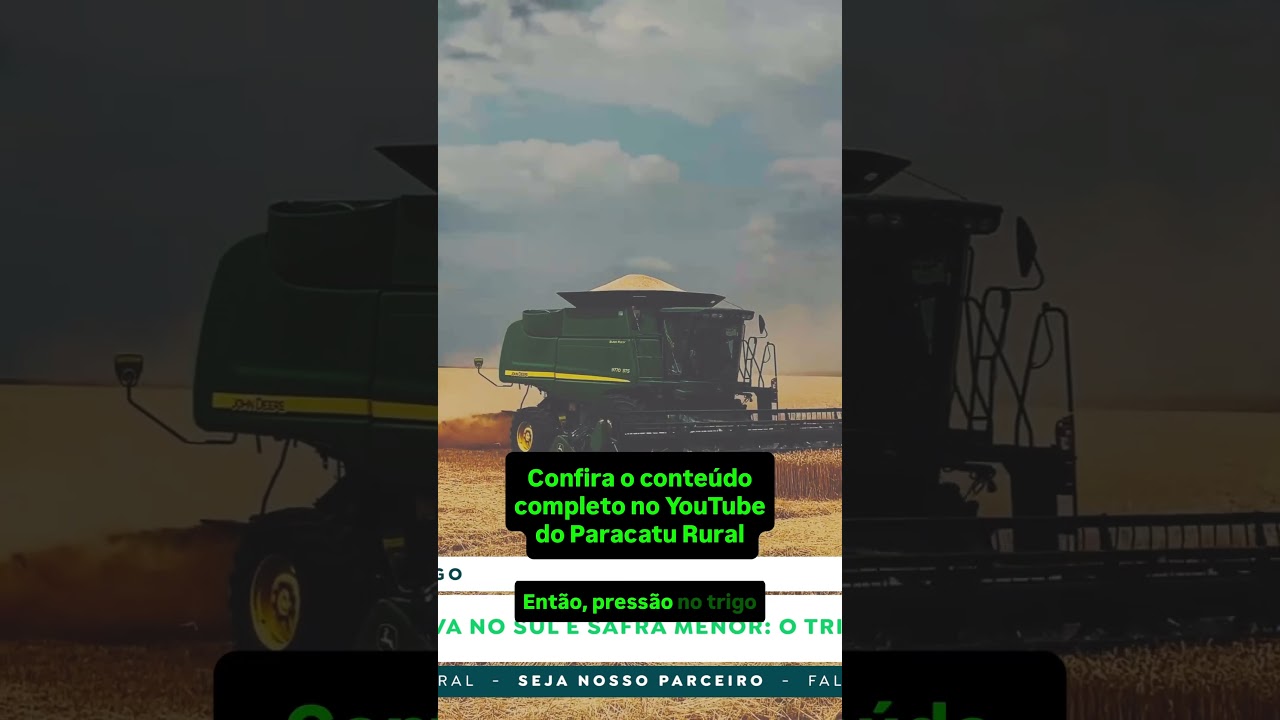 Feijão Acima de R$300 com Falta de Oferta, Arroz Pressionado e Risco no Trigo.