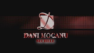 Dani Mocanu - Sechele  | Official Audio