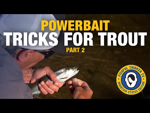 Active PowerBaiting Tricks for Trout, part 2 (fishing for trout)
