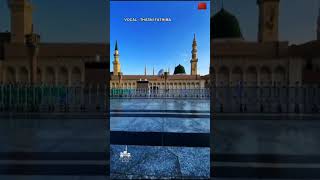 Download lagu Rahmatun Lil'Alameen By Thasni Fathima #shorts #youtubeshorts #islam mp3