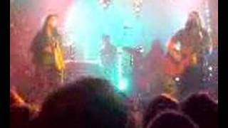 The Magic Numbers Crazy in Love