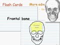 Flash Cards: Reducing Your Study Time