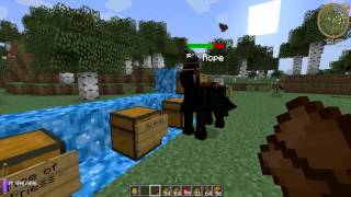 Ochočení Zebry a získání pegase