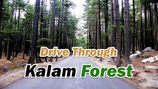 preview picture of video 'Real Thick Forest of Kalam like you See in Movies - Travel with Haris'