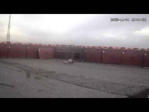 Palomo Y aquí concreta la captura paloma perdida 