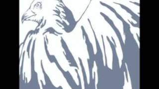 Sarah Fimm  -  Let it Run