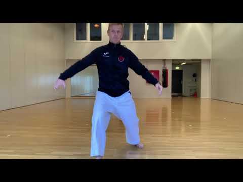 Graduerings pensum 2 kyu - Kihon JKA