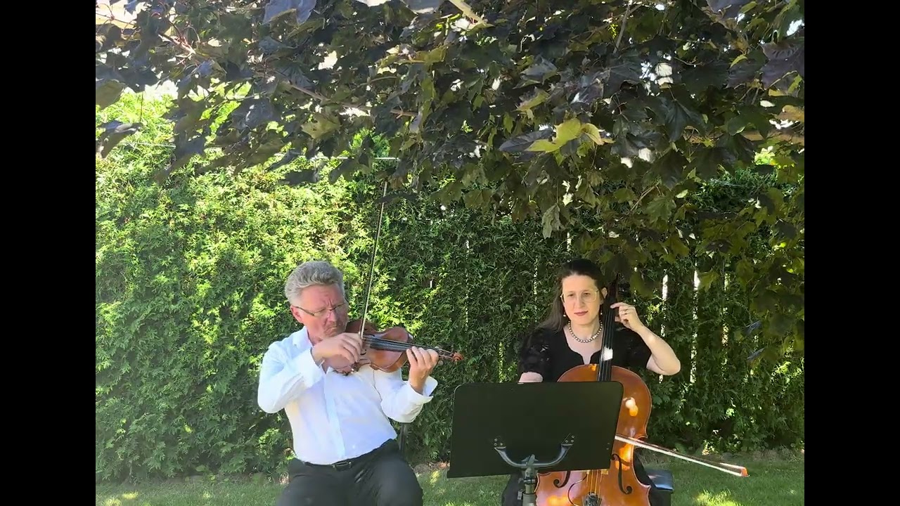 Promotional video thumbnail 7 for Aurora Quartet