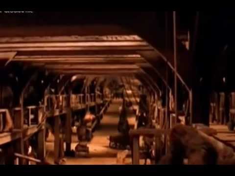 NG Bible Secrets The Search for Noah TVRip XviD TL