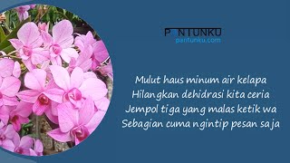 Download lagu Kumpulan Pantun Lucu Grup WA, Facebook, Status WA mp3 Download lagu Kumpulan Pantun Lucu Grup WA, Facebook, Status WA mp3