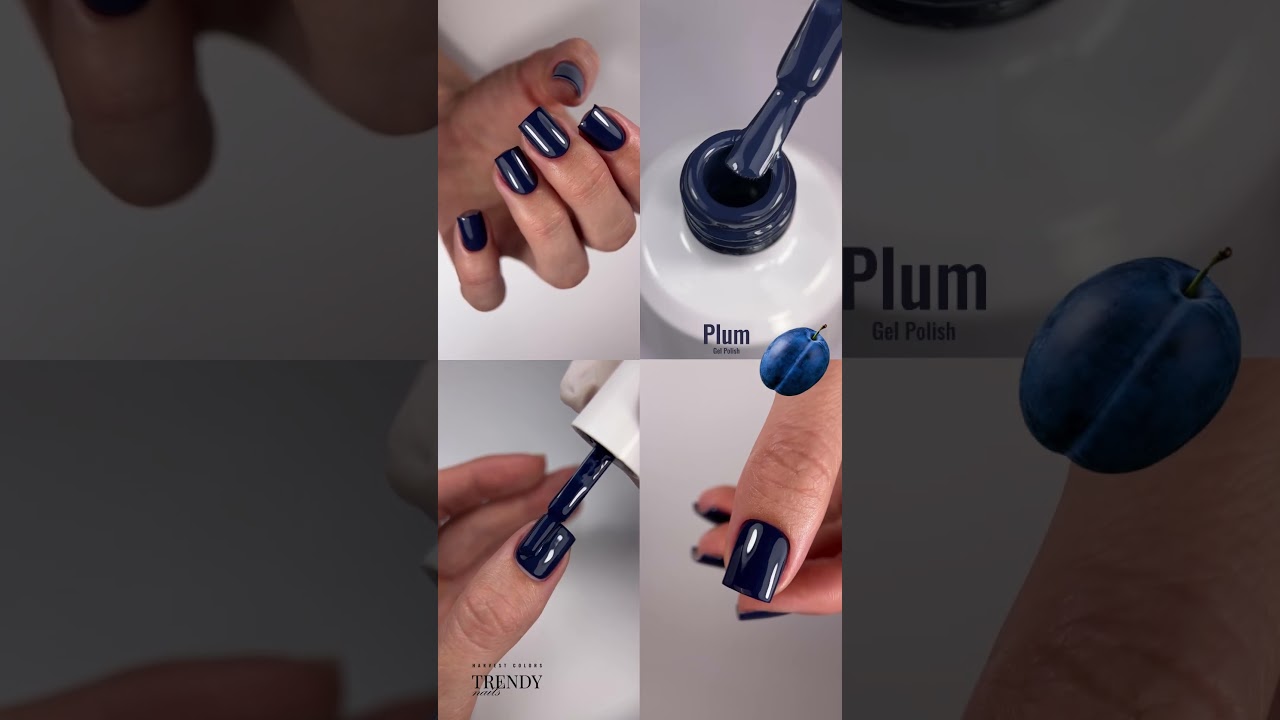 Видеообзор Гель-лак для ногтей TrendyNails (Plum 5 мл)