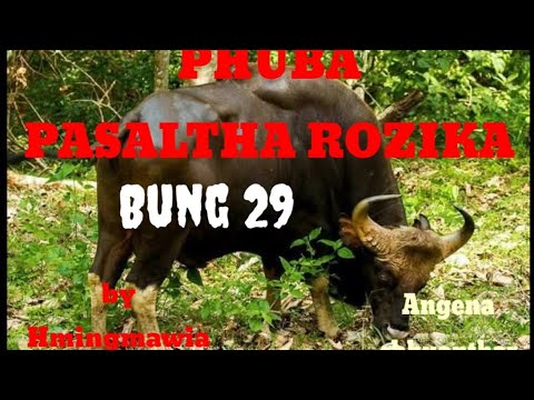 PHUBA PASALTHA ROZIKA 29