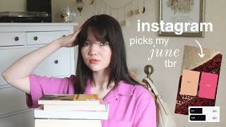 instagram blindly chooses my june tbr