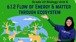 Grade 10 Biology Unit 6:6.1.2 Flow of Energy & Matter Through Ecosystem | Saquama