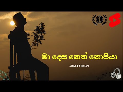 මා දෙස නෙත් නොපියා (හිතුමතේ) | Ma desa neth nopiya (Hithumathe) | Slowed and Reverb | Melody Master