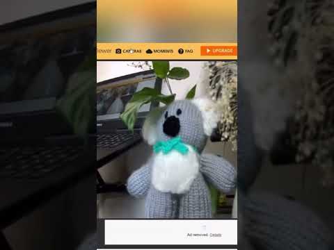Alfred Webviewer